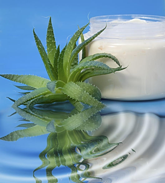 Aloe Vera Cream Wall Decal