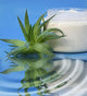 Aloe Vera Cream Wall Decal