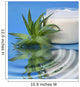 Aloe Vera Cream Wall Decal