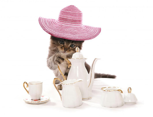 English Teatime Kitten Cat Wall Decal