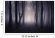 Path through Dark Forest Wall Decal