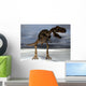 Trex Wall Mural