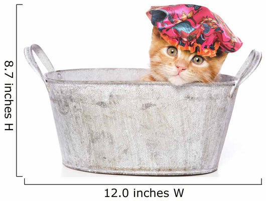 Cat Bath with Shower Wall Decal