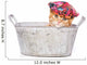 Cat Bath with Shower Wall Decal