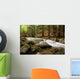 river in the wood Wall Mural