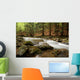 river in the wood Wall Mural