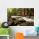 river in the wood Wall Mural