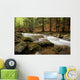 river in the wood Wall Mural