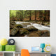 river in the wood Wall Mural