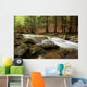 river in the wood Wall Mural
