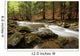 river in the wood Wall Mural