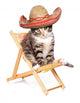 Vacationing Sombrero Kitten Wall Decal