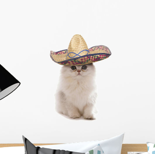 Kitten Wearing Sombrero Wall Decal