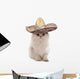 Kitten Wearing Sombrero Wall Decal