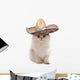 Kitten Wearing Sombrero Wall Decal