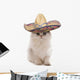 Kitten Wearing Sombrero Wall Decal