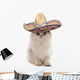 Kitten Wearing Sombrero Wall Decal