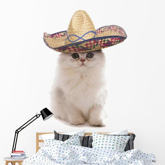 Kitten Wearing Sombrero Wall Decal