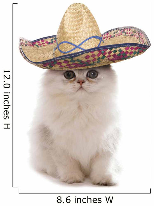 Kitten Wearing Sombrero Wall Decal