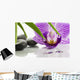 White Orchid Wall Mural