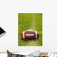 American Football on Field with yard line Wall Mural
