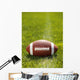 American Football on Field with yard line Wall Mural