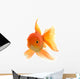 Goldfish on White Background Wall Decal