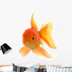 Goldfish on White Background Wall Decal