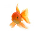 Goldfish On White Background Wall Decal