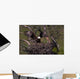 Landing on the Nest Wall Mural