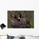 Landing on the Nest Wall Mural
