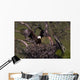 Landing on the Nest Wall Mural