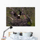 Landing on the Nest Wall Mural