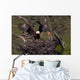 Landing on the Nest Wall Mural
