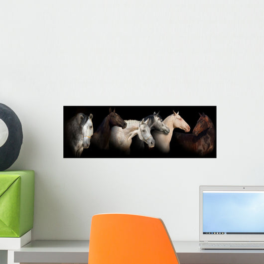 Six horses Wall Mural