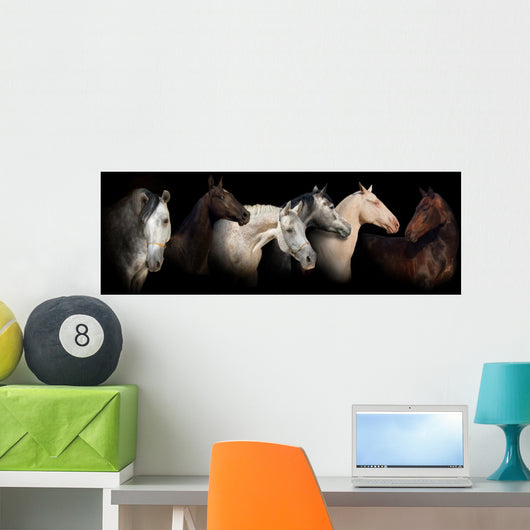 Six horses Wall Mural