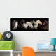 Six horses Wall Mural