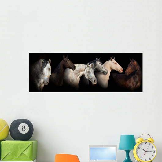 Six horses Wall Mural