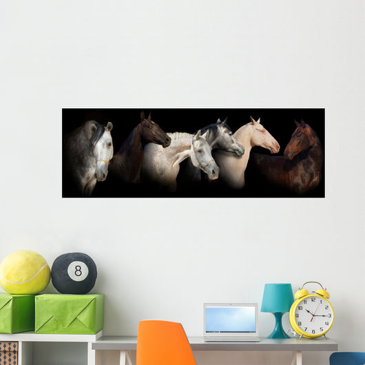 Six horses Wall Mural