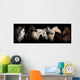 Six horses Wall Mural
