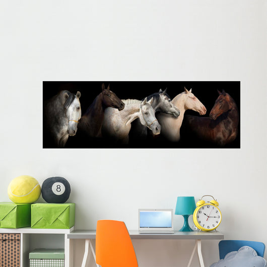 Six horses Wall Mural