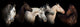 Six Horses Wall Decal
