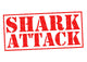 Shark Attack Wall Decal