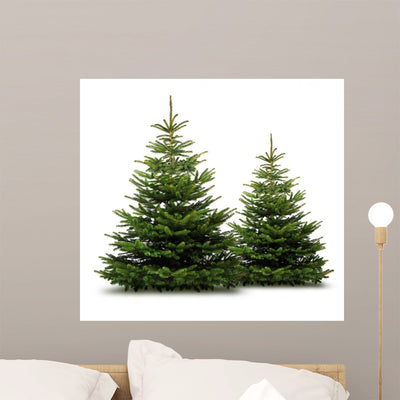 Two Pine Trees Wall Decal shown on a wall