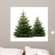 Two pine trees 