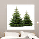Two Pine Trees