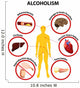 Alcoholism Infographic Poster Wall Mural