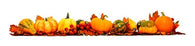 Border Autumn Leaves Wall Decal