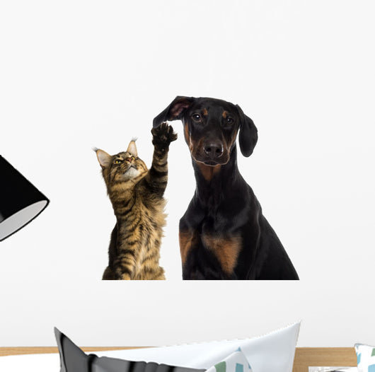 Cat Pawing Dog Ear Wall Decal