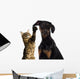 Cat Pawing Dog Ear Wall Decal